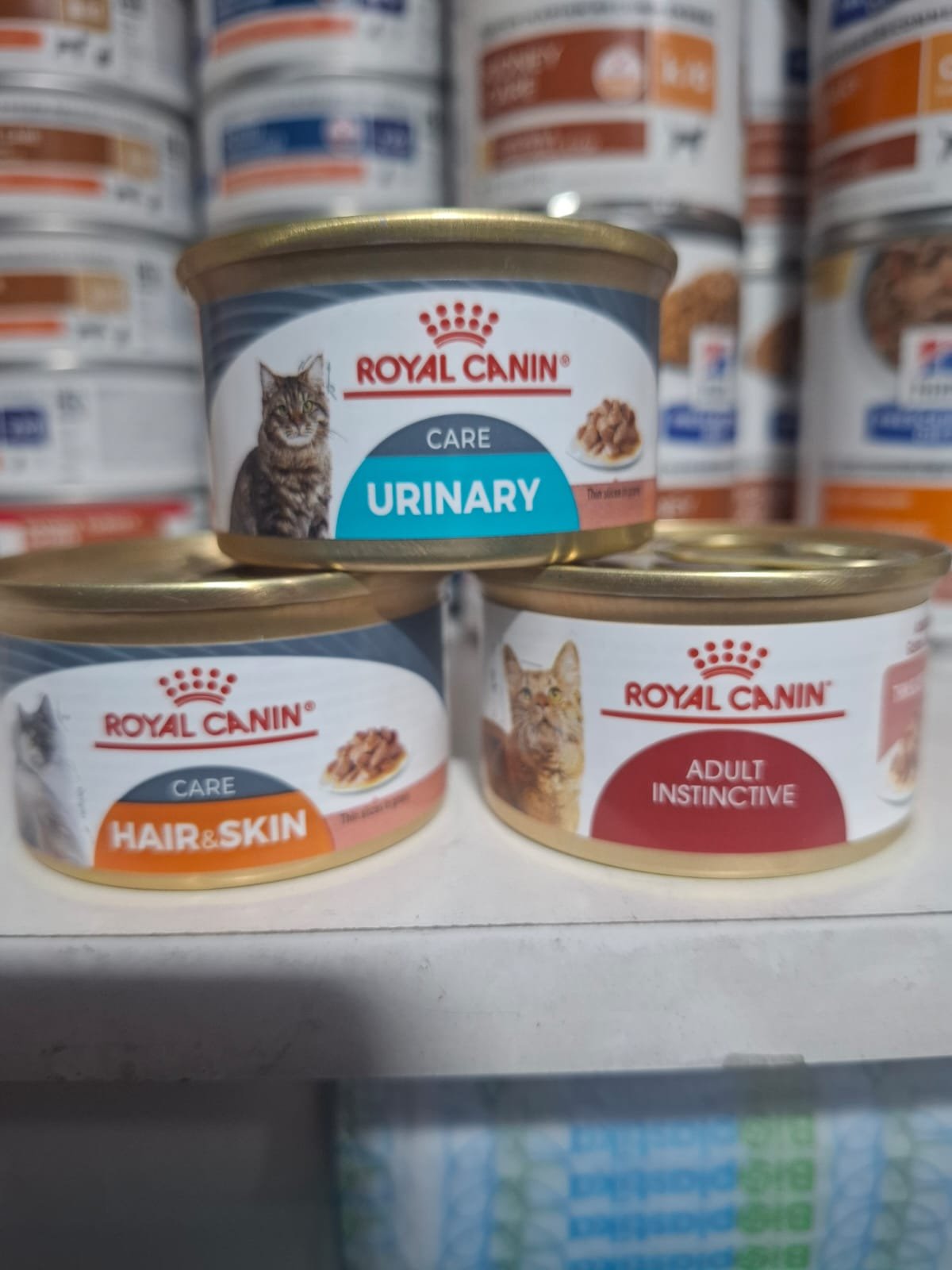 Imagen de WhatsApp 2025-11-17 a las 13.15.20_e4af14f2