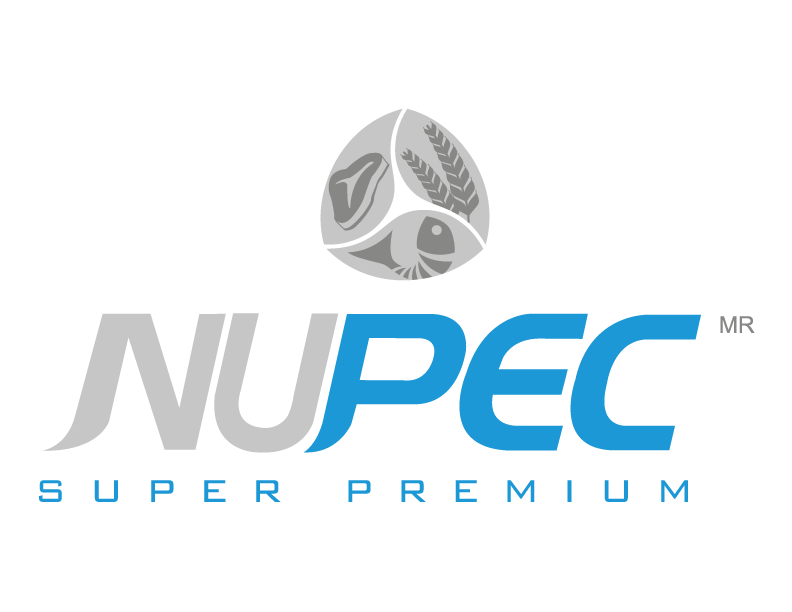 Logo-NUPEC