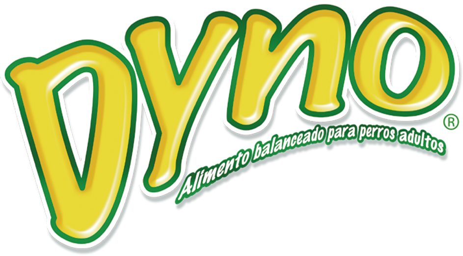 logo_Dyno